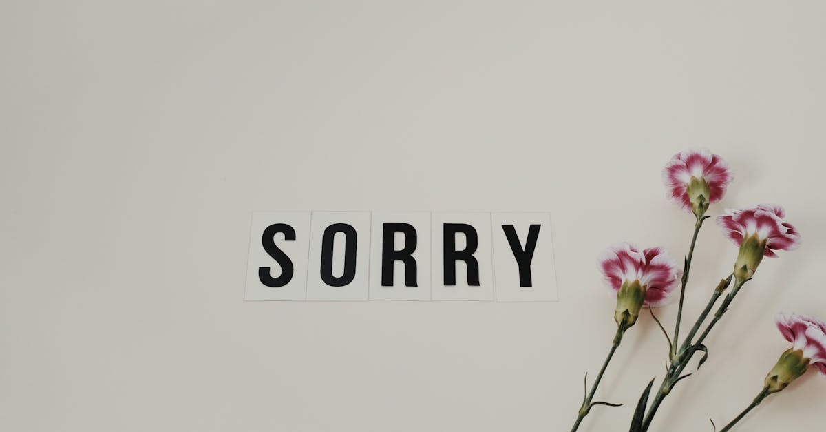 explorez la notion de regret, ses implications émotionnelles et psychologiques. découvrez comment cet état d'âme peut influencer nos choix et notre comportement, tout en offrant des perspectives sur la façon de surmonter et d'apprendre de nos regrets passés.